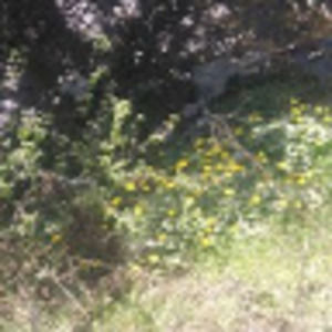 Meet your Posher, Robyn